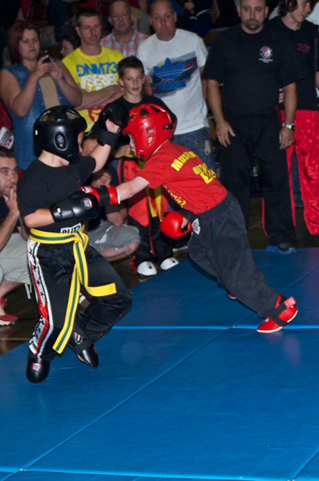 FSK 12- 011 - Version 2